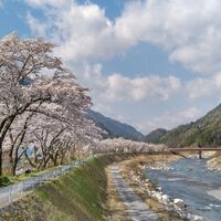画像1481