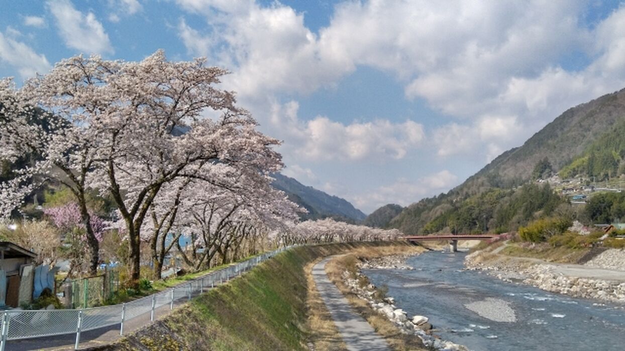画像1481